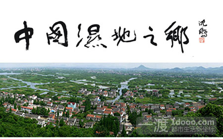 1308710752_num_466_大图
